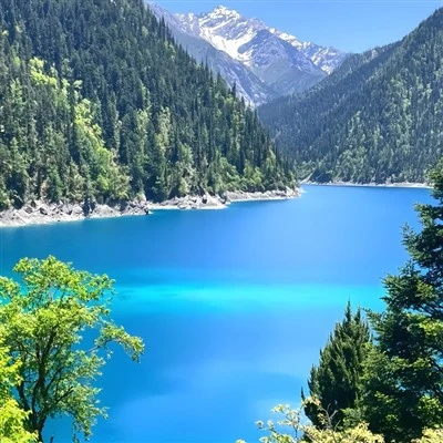 چونگ کیونگ لیزیبا لائٹ ریل عمارت کے ذریعے چینگدو دیو دیو پانڈا ہوا ہوا ہوا ٹورز